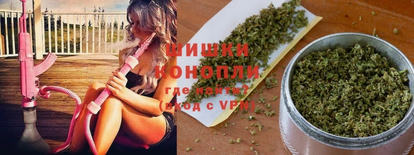 гидропоника Богданович
