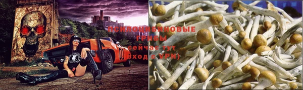 гидропоника Богданович