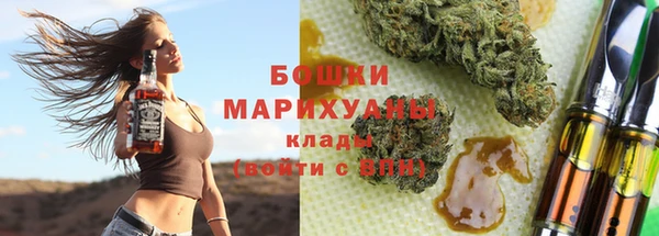 гидропоника Богданович